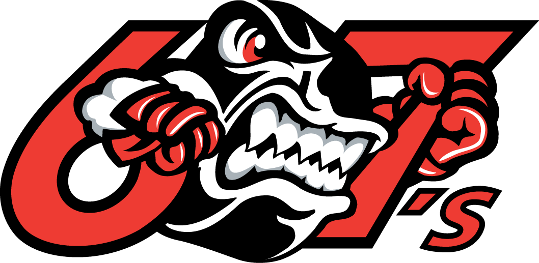 Ottawa 67s 1998 99-2006 07 Alternate Logo vinyl decal